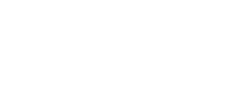 Vivid Logo weiß